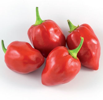 Immagine prodotto PEPERONE PICCANTE Habanero Red