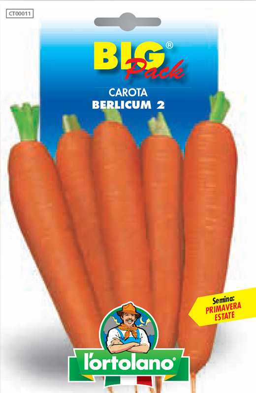 Immagine prodotto CAROTA Berlicum 2