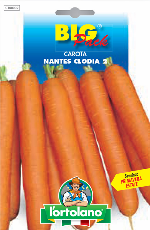 Immagine prodotto CAROTA Nantes Clodia 2