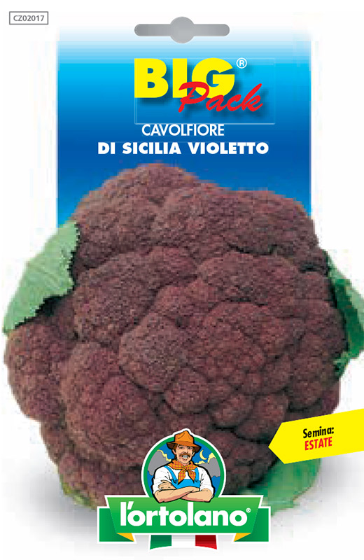 Immagine prodotto CAVOLFIORE di Sicilia violetto