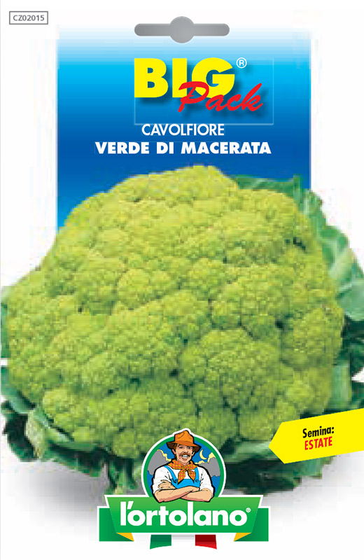 Immagine prodotto CAVOLFIORE Verde di Macerata