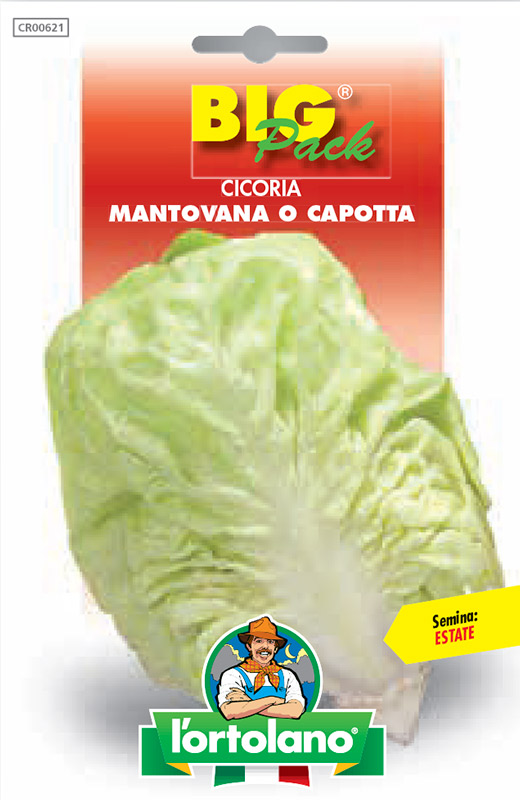 Immagine prodotto CICORIA Mantovana o capotta