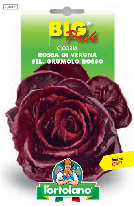 Immagine prodotto CICORIA Rossa di Verona sel. Grumolo Rosso