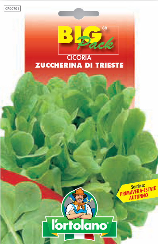 Immagine prodotto CICORIA Zuccherina di Trieste