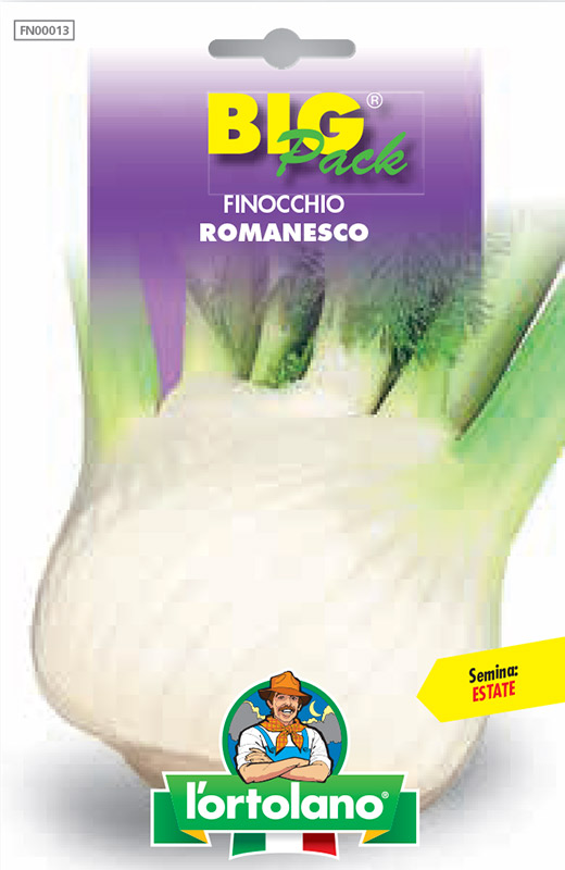 Immagine prodotto FINOCCHIO Romanesco