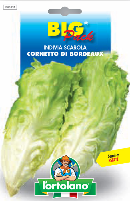 Immagine prodotto INDIVIA SCAROLA Cornetto di Bordeaux