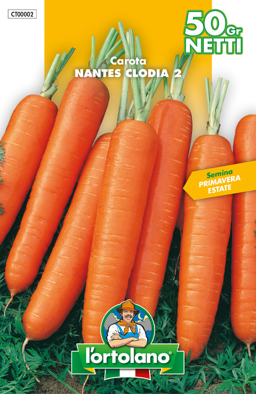 Immagine prodotto CAROTA Nantes Clodia 2