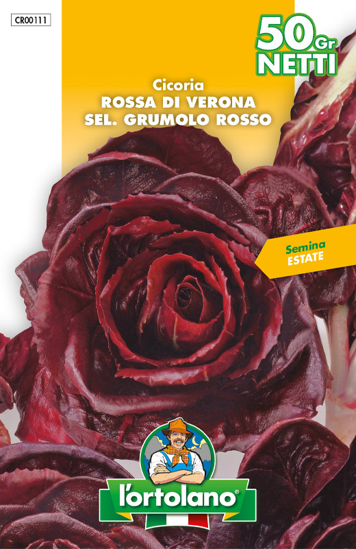 Immagine prodotto CICORIA Rossa di Verona sel. Grumolo Rosso