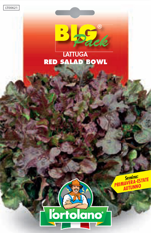 Immagine prodotto LATTUGA Red salad bowl