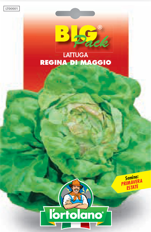 Immagine prodotto LATTUGA Regina di Maggio