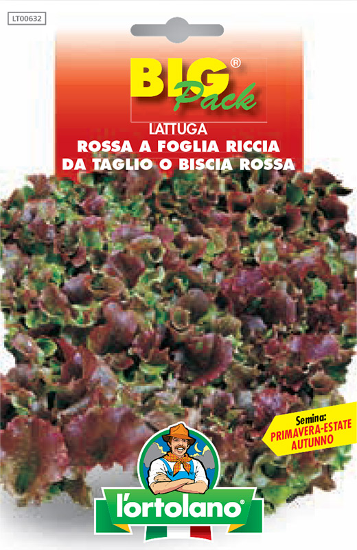 Immagine prodotto LATTUGA Rossa a foglia riccia da taglio o Biscia rossa