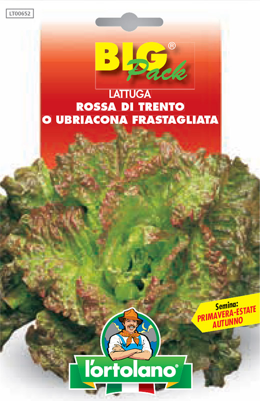 Immagine prodotto LATTUGA Ubriacona frastagliata