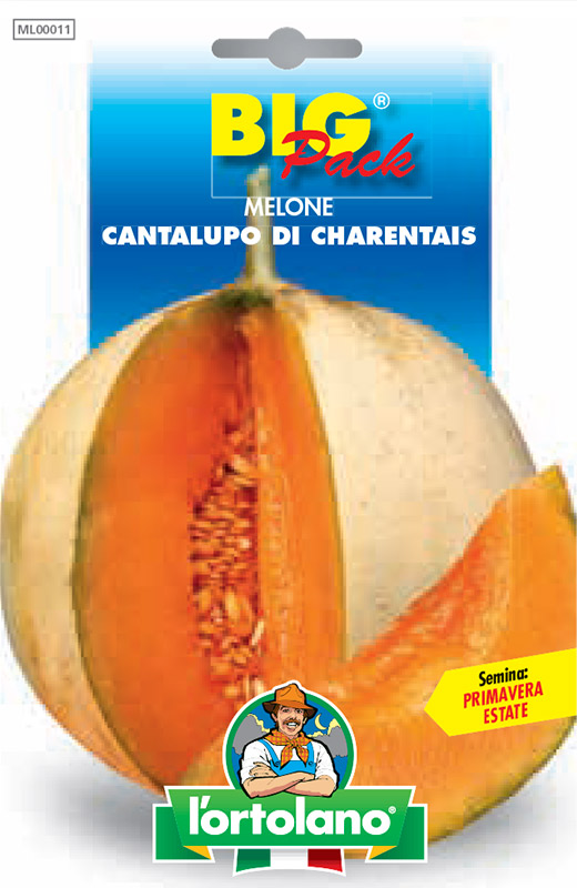 Immagine prodotto MELONE Cantalupo di Charentais