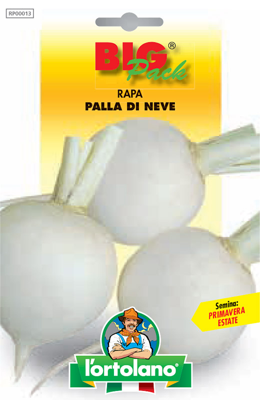 Immagine prodotto RAPA Palla di Neve