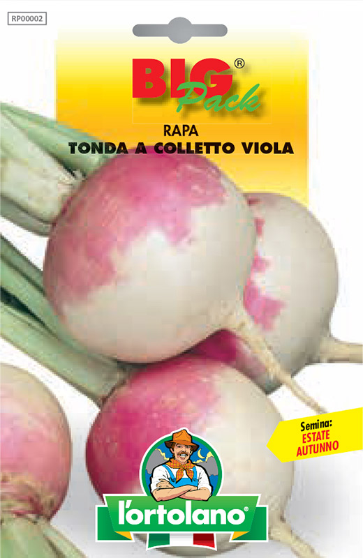 Immagine prodotto RAPA tonda a colletto viola