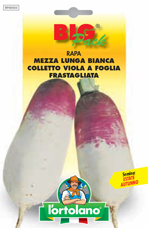 Immagine prodotto RAPA Mezza Lunga Bianca Colletto Viola a Foglia Frastagliata