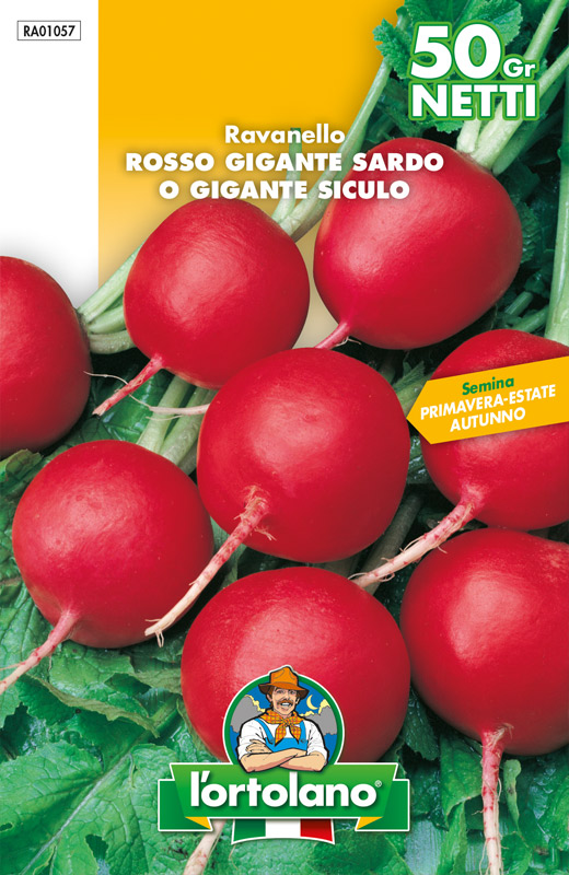 Immagine prodotto RAVANELLO Rosso Gigante Sardo o Gigante Siculo