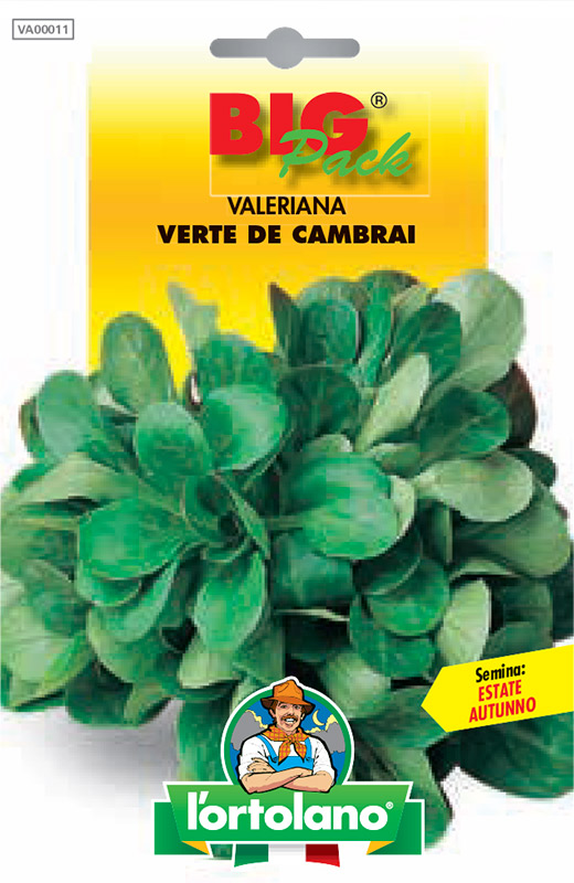 Immagine prodotto VALERIANA Verte de Cambrai