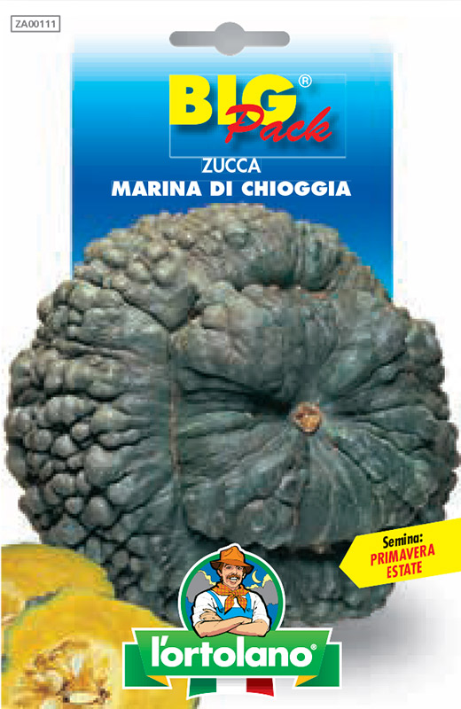 Immagine prodotto ZUCCA Marina di Chioggia