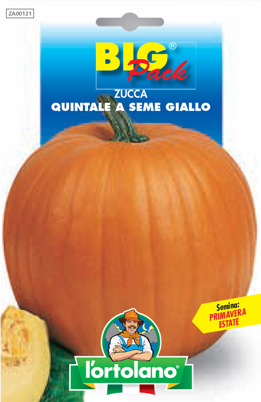 Immagine prodotto ZUCCA Quintale a seme giallo