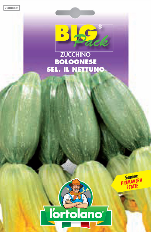 Immagine prodotto ZUCCHINO Bolognese sel. Il Nettuno