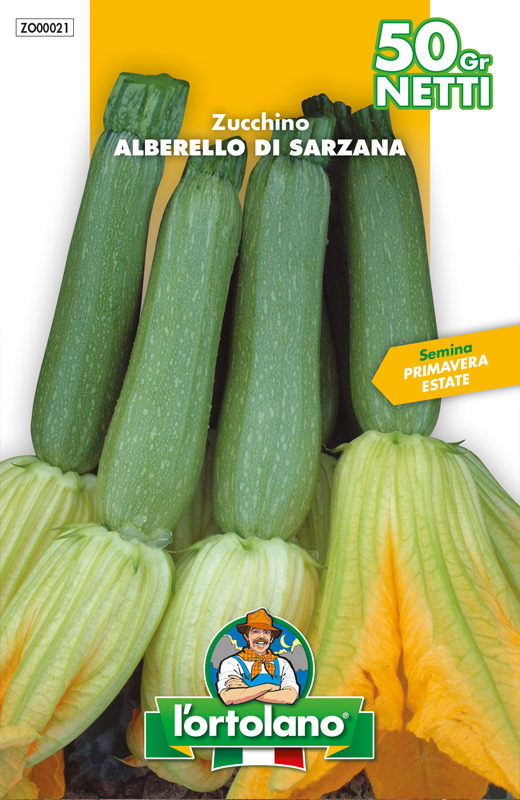 Immagine prodotto ZUCCHINO Alberello di Sarzana