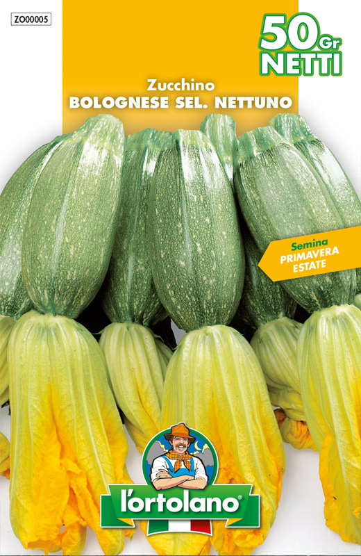 Immagine prodotto ZUCCHINO Bolognese sel. Il Nettuno