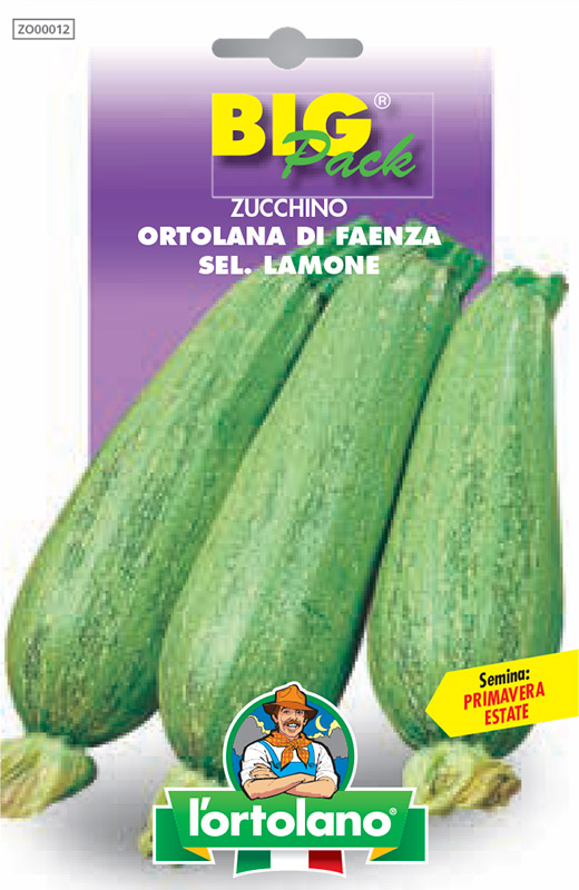 Immagine prodotto ZUCCHINO Ortolana di Faenza sel. Lamone