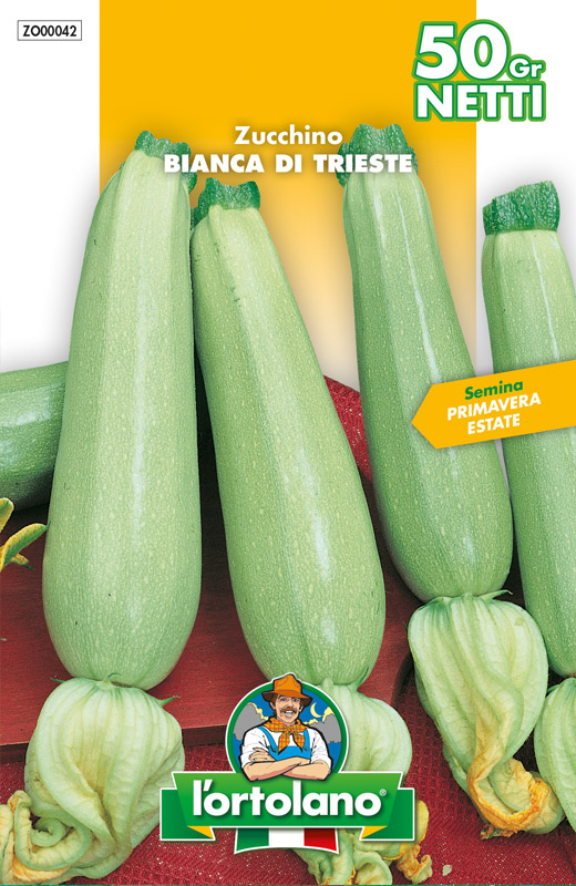 Immagine prodotto ZUCCHINO Bianca di Trieste