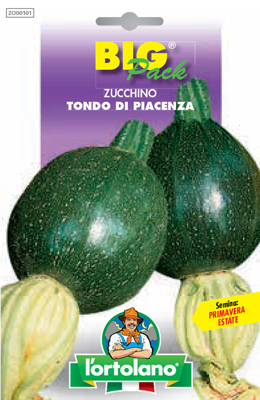 Immagine prodotto ZUCCHINO Tondo di Piacenza