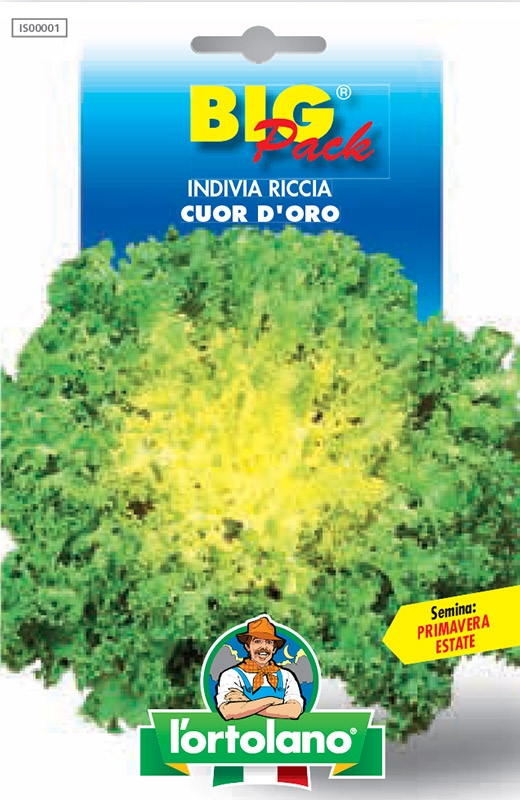 Immagine prodotto INDIVIA Riccia cuor d’oro