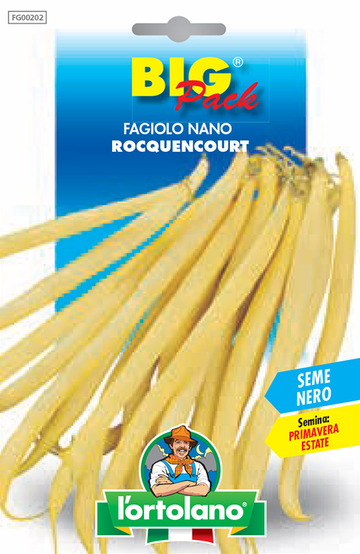 Immagine prodotto FAGIOLO nano Rocquencourt