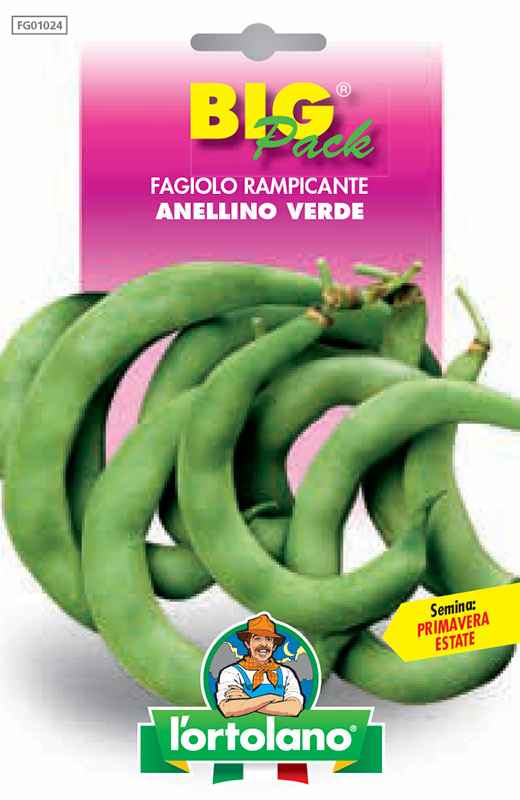 Immagine prodotto FAGIOLO rampicante Anellino Verde