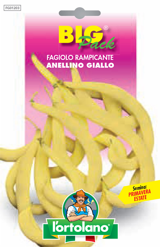 Immagine prodotto FAGIOLO rampicante Anellino Giallo