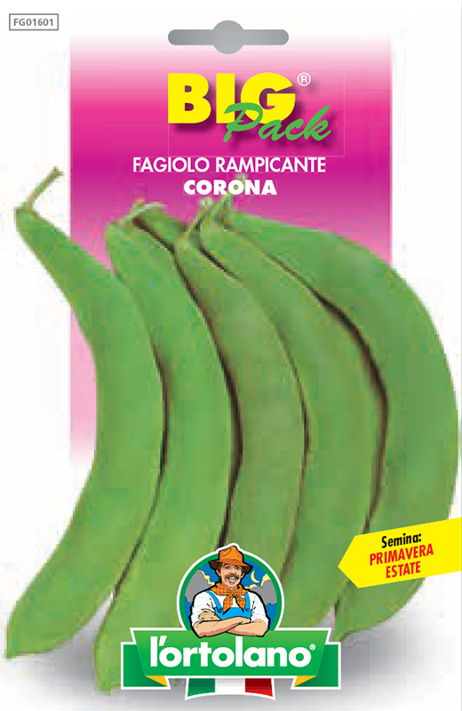 Immagine prodotto FAGIOLO rampicante Corona