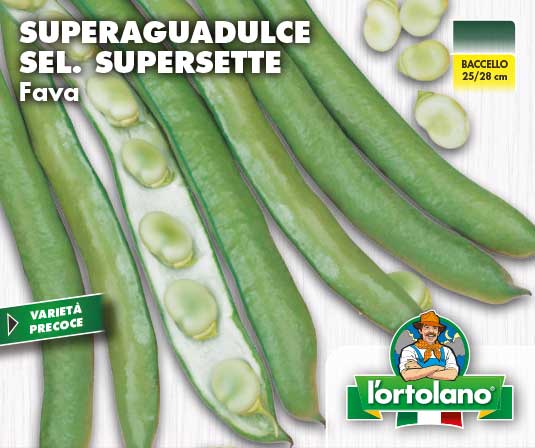 Immagine prodotto FAVA Superaguadulce sel.Supersette