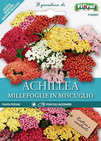 Immagine prodotto ACHILLEA MILLEFOGLIE In miscuglio