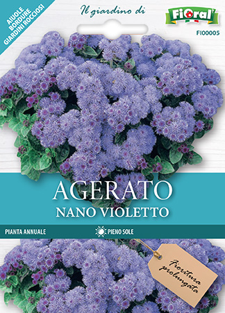 Immagine prodotto AGERATO NANO VIOLETTO