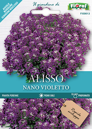 Immagine prodotto ALISSO NANO VIOLETTO