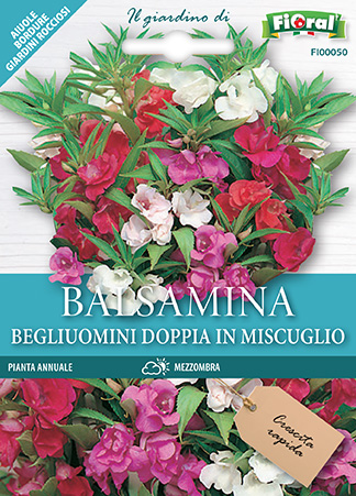 Immagine prodotto BALSAMINA BEGLIUOMINI Doppia in miscuglio