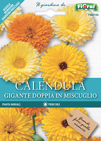 Immagine prodotto CALENDULA GIGANTE Doppia in miscuglio