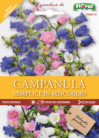 Immagine prodotto CAMPANULA Semplice in miscuglio