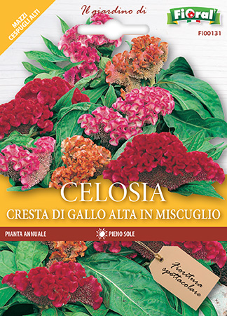 Immagine prodotto CELOSIA CRESTA DI GALLO Alta in miscuglio