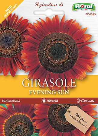 Immagine prodotto GIRASOLE EVENING SUN