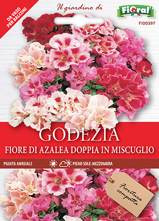 Immagine prodotto GODEZIA FIORE DI AZALEA Doppia in miscuglio