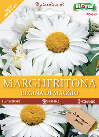 Immagine prodotto MARGHERITONA Regina di maggio