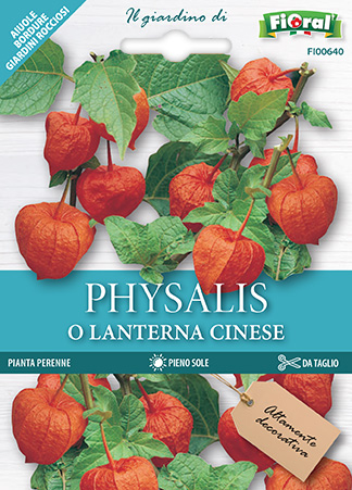 Immagine prodotto PHYSALIS O LANTERNA CINESE