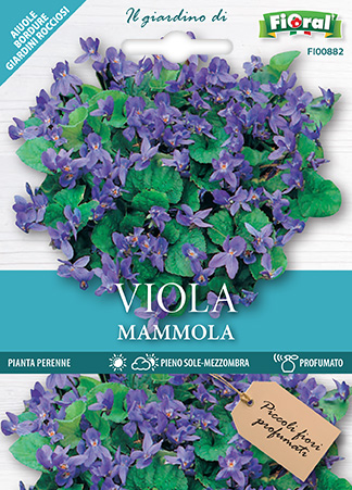 Immagine prodotto VIOLA MAMMOLA