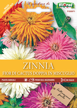 Immagine prodotto ZINNIA FIOR DI CACTUS Doppia in miscuglio