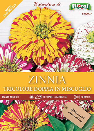 Immagine prodotto ZINNIA TRICOLORE Doppia in miscuglio